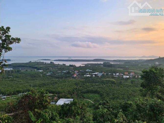 Bán Đất Nghỉ Dưỡng View Hồ Trị An, Sông La Ngà - Cách Sài Gòn Chỉ 1 Giờ Di Chuyển - 4