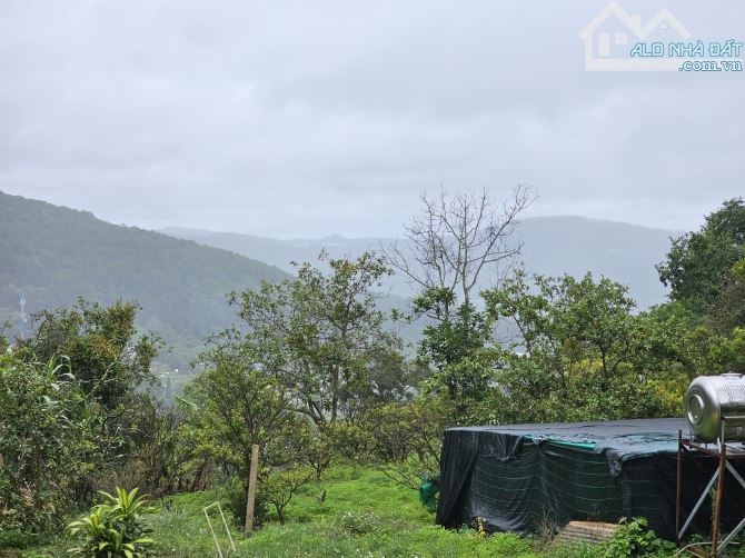 Cần bán gần 9898,91m²  đất Nông Nghiệp Đèo Fren - p3 - Đà Lạt. 70ty - 9