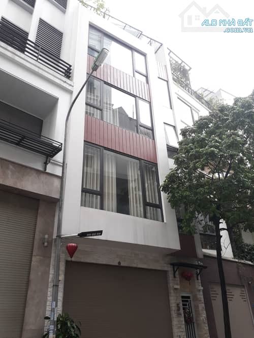 Thang máy, ô tô tránh, MT 6m, hàng xóm BV Tâm Anh, 24.9 tỷ - 5