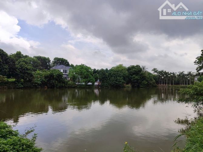 340M2 FULL THỔ CƯ 2 MẶT ĐƯỜNG TRƯỚC SAU VIEW TRIỆU USD TẠI HỒ VĂN SƠN   +340M2 full thổ cư - 6