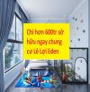 Chỉ hơn 600tr sở hữu ngay chung cư Lê Lợi Eden Garden tuyệt đẹp