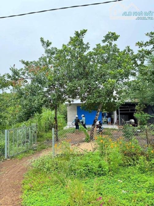 CẦN BÁN NHÀ VƯỜN DT: 1050M2(20MX50M) NHÀ CẤP 4  KHU DÂN CƯ GẦN SÔNG CHỈ 650 TRIỆU - 1