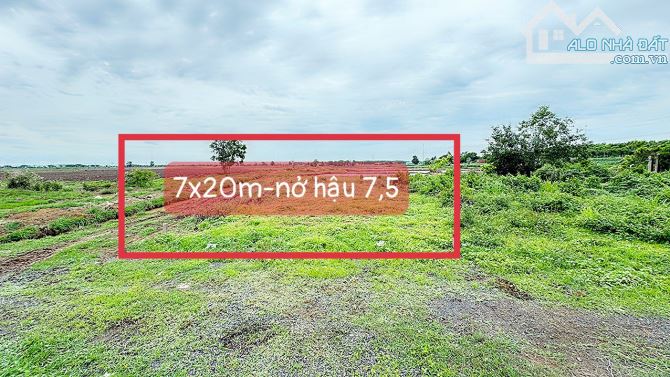 145m2 (7x20m) thổ cư sẵn- Gần cổng chính KCN Đất Đỏ- BRVT - 2