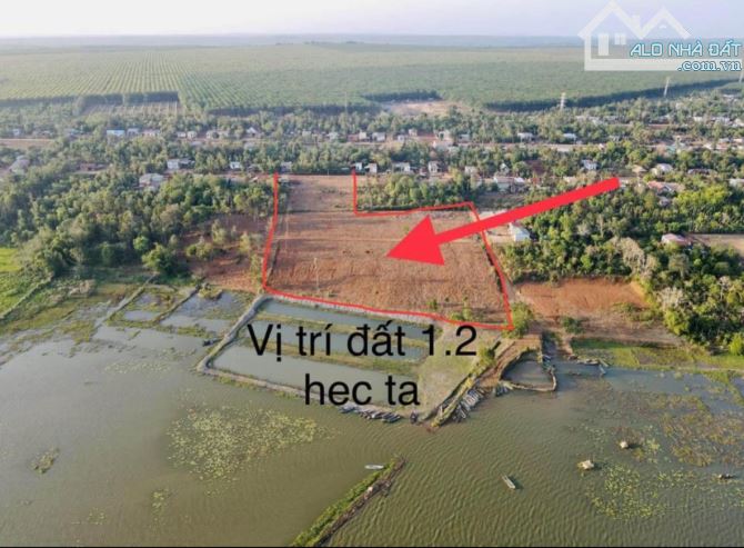 💥 SIÊU PHẨM HỒ EA NHÁI - 12000m2 có thổ cư - 21 tỷ - 3