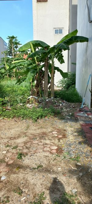Dịch Vụ Biên Giang 50m trục chính đường thông vỉa hè, kinh doanh giá 4,6 tỷ - 2