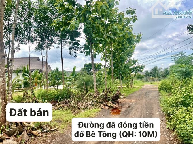 ✨ MUA ĐẤT TẶNG NHÀ CẤP 4, sẵn điện + nước, DT: 21.8 x 126.6m (2.5 SÀO) - 1.5 Tỷ (bao sổ)