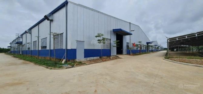 X935. CHO THUÊ NHÀ XƯỞNG KCN TAM ANH - HÀN QUỐC, TỈNH QUẢNG NAM TỪ 4.700M2 PCCC TỰ ĐỘNG - 3