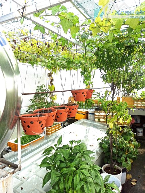 Bán nhà Mai Thúc Lân, Khu An Thượng, 60m2, 3 tầng, mới, 3PN.Giá 7.X tỷ.TL, LVCC.SHR. - 4
