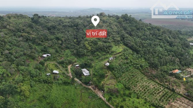 bán lô đất đồi săn mây view về TP Long Khánh - 3