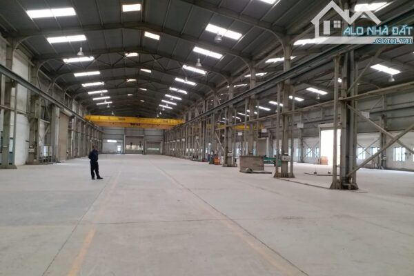 Cho thuê xưởng 12.000m2 trong KCN tại Bàu Bàng, Bình Dương