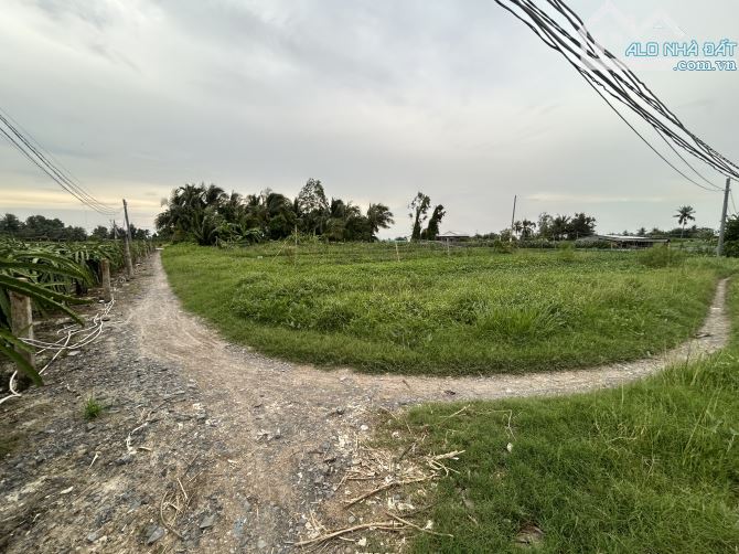 ✅ Đất lúa Phú Ngãi Trị, đường giao thông 4m, 2 mặt tiền _ DT: 38 x 47m2 ( 1700m2)