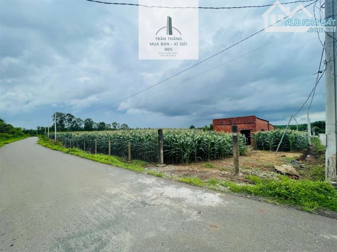 Hơn 300m mặt tiền đường nhựa - view suối - KDC - 1