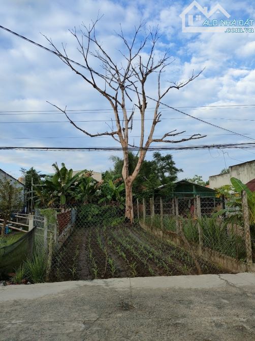 ĐẤT ĐẸP - GIÁ TỐT - Cần Bán Nhanh Lô Đất Vị Trí Đắc Địa Tại Gò Dầu, Tây Ninh - 1