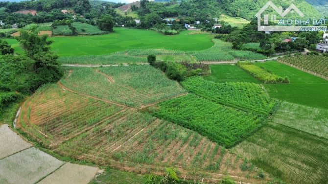 1347m View Cánh Đồng Đẹp - Xã Vĩnh Tiến - Kim Bôi - 1