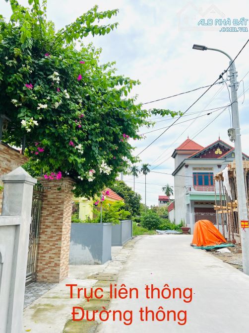 ‼️‼️ Bán cắt lỗ lô đất trung tâm Hoàng Động - Thuỷ Nguyên ✅ đường 5m - giá chỉ 1,4 tỷ - 2