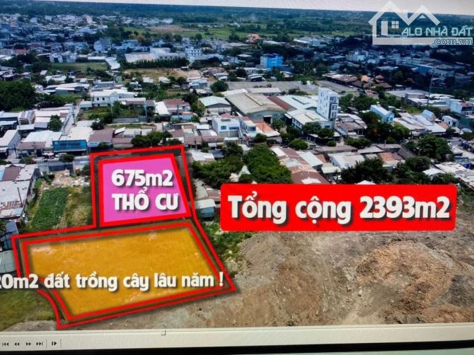 BÁN XƯỞNG 2392m2  MẶT TIỀN LÊ VĂN KHƯƠNG ĐÔNG THẠNH HÓC MÔN - 2