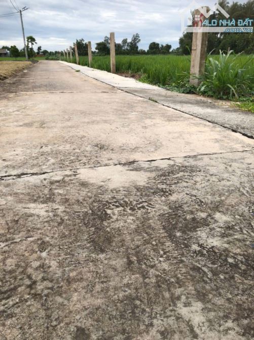 Bán đất thổ cư (5x40m) bêtông xe hơi gần Công ty Việt Long Hưng, Thành phố Gò Công, TG - 2