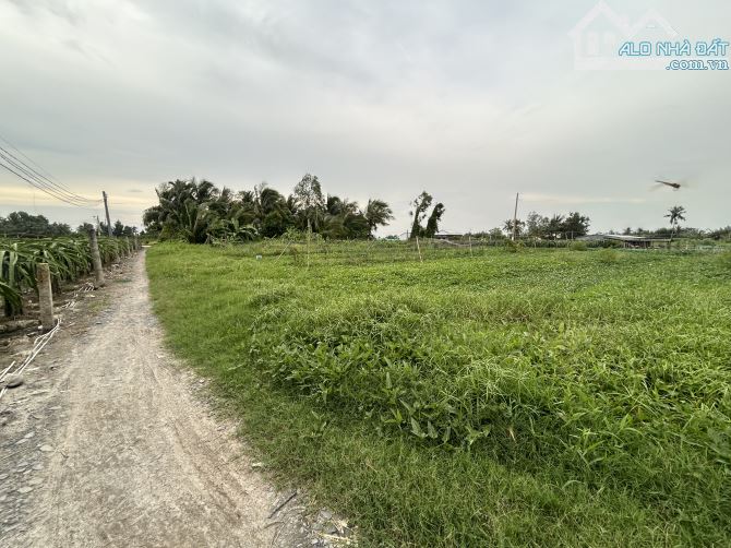✅ Đất lúa Phú Ngãi Trị, đường giao thông 4m, 2 mặt tiền _ DT: 38 x 47m2 ( 1700m2) - 2