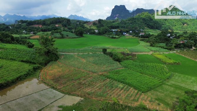 1347m View Cánh Đồng Đẹp - Xã Vĩnh Tiến - Kim Bôi - 2