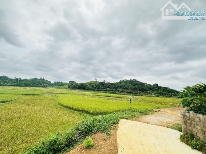 BÁN GẤP LÔ ĐẤT SIÊU PHẨM SẴN NHÀ VIEW CÁNH ĐỒNG BÁM AO CÓ DT 1240m2 GIÁ RẺ CHỈ 2,x TỶ - 2