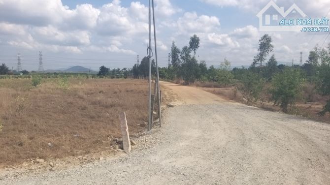 11.393 m2 phủ hồng, 3 mặt tiền, mặt  đường nhựa dài 121m, cách TP.HCM 1h40
