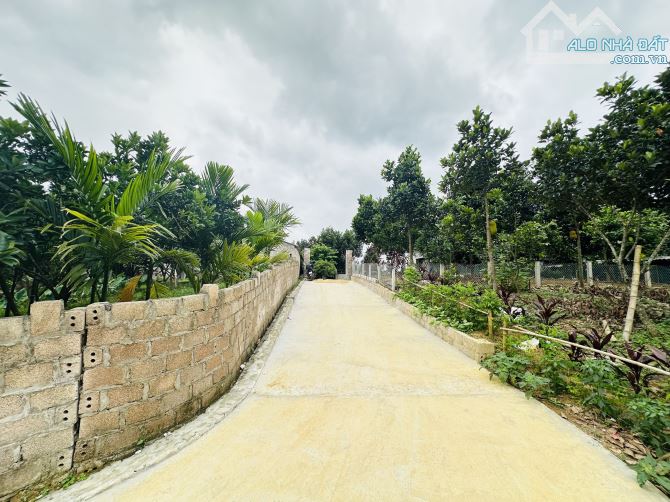BÁN GẤP LÔ ĐẤT SIÊU PHẨM SẴN NHÀ VIEW CÁNH ĐỒNG BÁM AO CÓ DT 1240m2 GIÁ RẺ CHỈ 2,x TỶ - 3