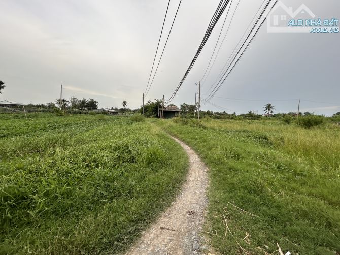 ✅ Đất lúa Phú Ngãi Trị, đường giao thông 4m, 2 mặt tiền _ DT: 38 x 47m2 ( 1700m2) - 4