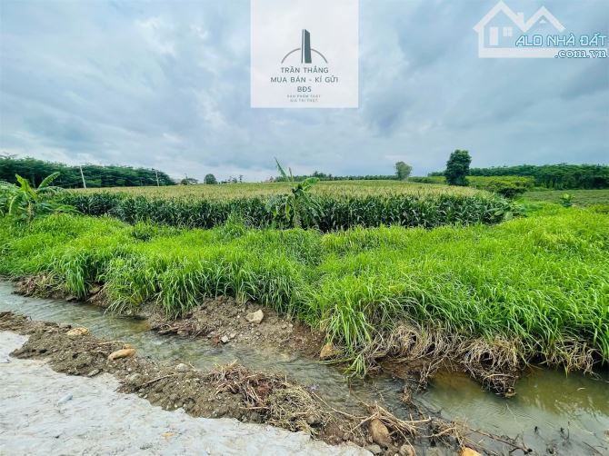Hơn 300m mặt tiền đường nhựa - view suối - KDC - 5