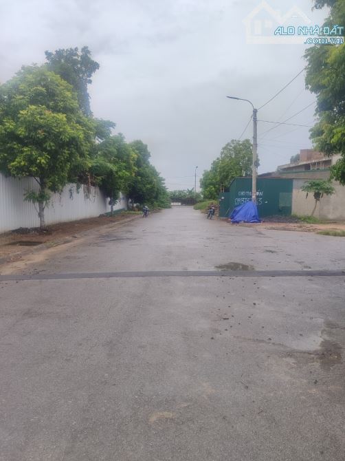 Bán lô đất đầu ve mặt đường Chi Lăng, Phường Quảng Thành, Thanh Hóa 227m2 giá 20 triệu/m2 - 5