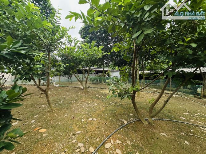 BÁN GẤP LÔ ĐẤT SIÊU PHẨM SẴN NHÀ VIEW CÁNH ĐỒNG BÁM AO CÓ DT 1240m2 GIÁ RẺ CHỈ 2,x TỶ - 5