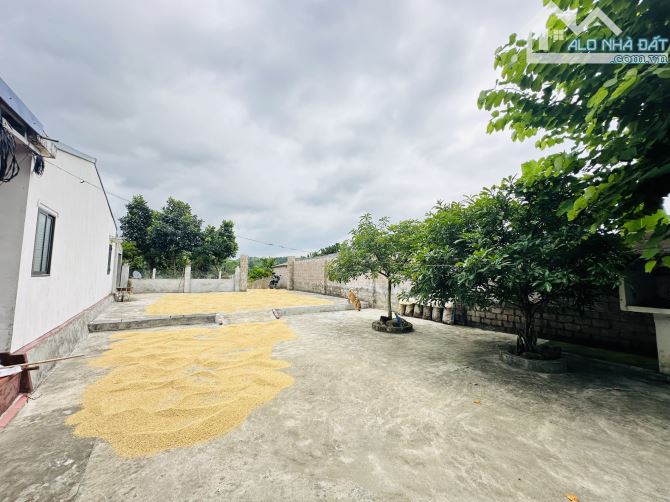 BÁN GẤP LÔ ĐẤT SIÊU PHẨM SẴN NHÀ VIEW CÁNH ĐỒNG BÁM AO CÓ DT 1240m2 GIÁ RẺ CHỈ 2,x TỶ - 6