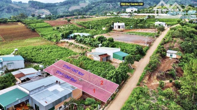 ✨ 10x46m (168m2 ONT) gần trung tâm THỊ TRẤN NAM BAN chuẩn bị Sát Nhập vào Đà Lạt - 1,15 Tỷ