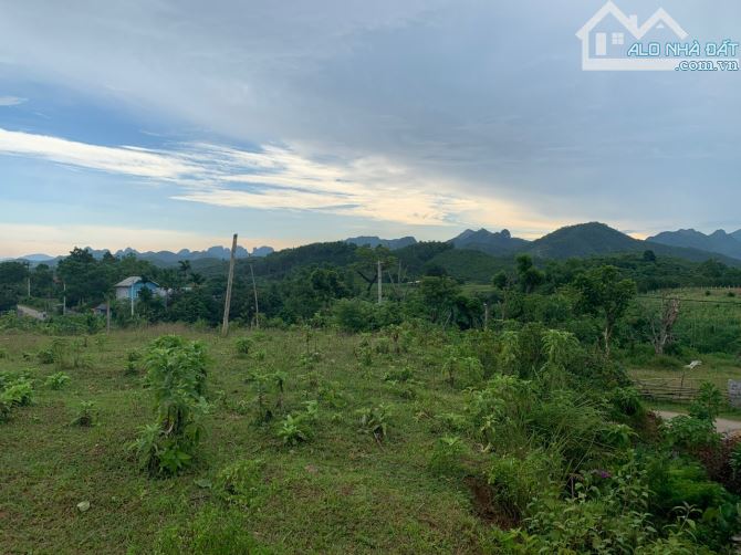 12305m Đất Hỗn Hợp Thổ Cư - CLN - Rừng Sản Xuất View Cao Thoáng - 1