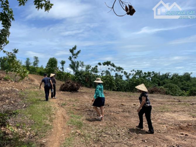 Cần xoay tiền kinh doanh bán gấp 5 lô đất như hình view hồ Trị An. LH em Đạt coi sổ - 1