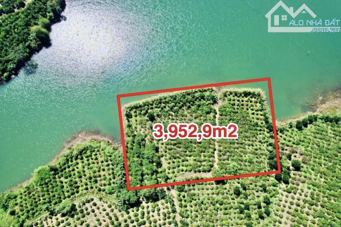 ✨ Chỉ 700TR là anh chị đã sở hữu 1 LÔ ĐẤT ÔM TRỌN HỒ 3.952m2 (thực tế sử dụng đến 7.000m2) - 1