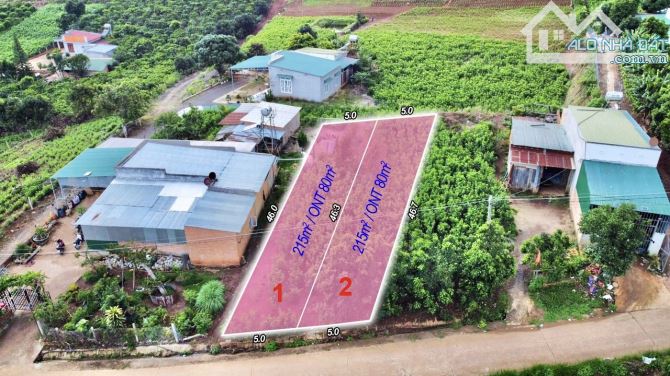 ✨ 10x46m (168m2 ONT) gần trung tâm THỊ TRẤN NAM BAN chuẩn bị Sát Nhập vào Đà Lạt - 1,15 Tỷ - 1
