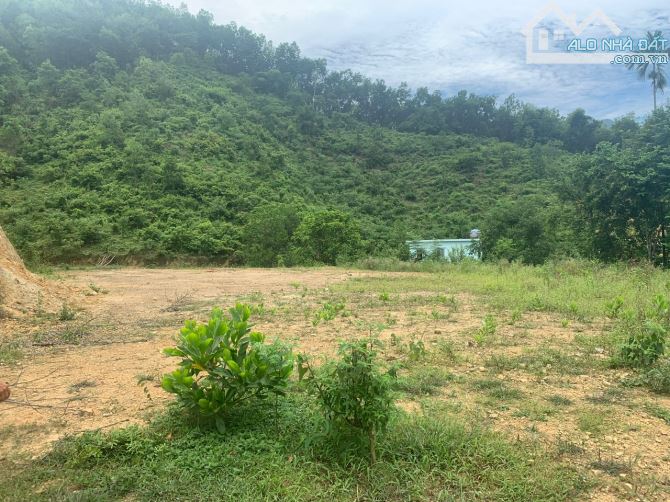 12305m Đất Hỗn Hợp Thổ Cư - CLN - Rừng Sản Xuất View Cao Thoáng - 2