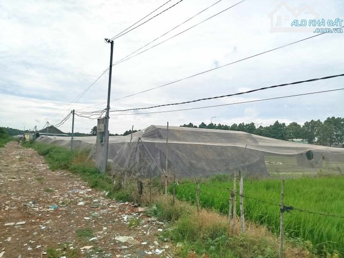 11000m2 giá chỉ 3,4 triệu m2 đường xe tải tới nơi, Xuân Thới Thượng Hóc Môn - 3
