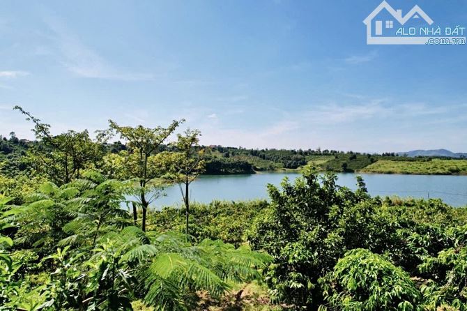 ✨ Chỉ 700TR là anh chị đã sở hữu 1 LÔ ĐẤT ÔM TRỌN HỒ 3.952m2 (thực tế sử dụng đến 7.000m2) - 4