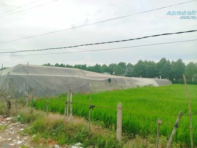11000m2 giá chỉ 3,4 triệu m2 đường xe tải tới nơi, Xuân Thới Thượng Hóc Môn - 4