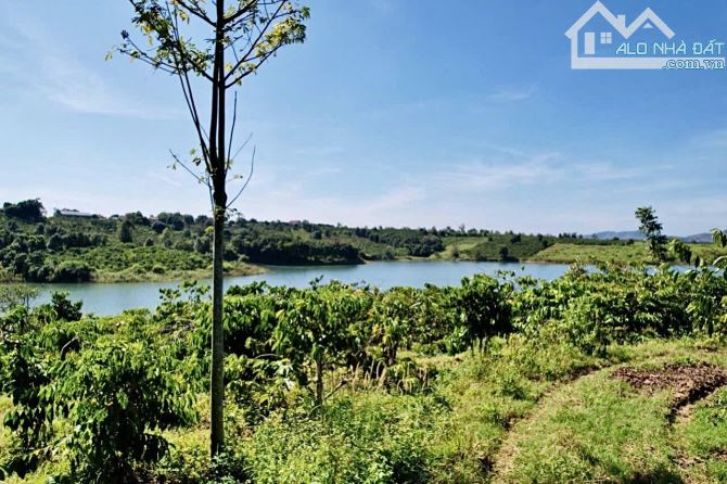 ✨ Chỉ 700TR là anh chị đã sở hữu 1 LÔ ĐẤT ÔM TRỌN HỒ 3.952m2 (thực tế sử dụng đến 7.000m2) - 5