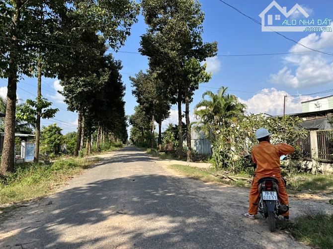 ✨ 2 Lô Thổ Cư ngay trung tâm Thị trấn Châu Thành sầm uất, phía sau khu thương mại Cao Xá - 6