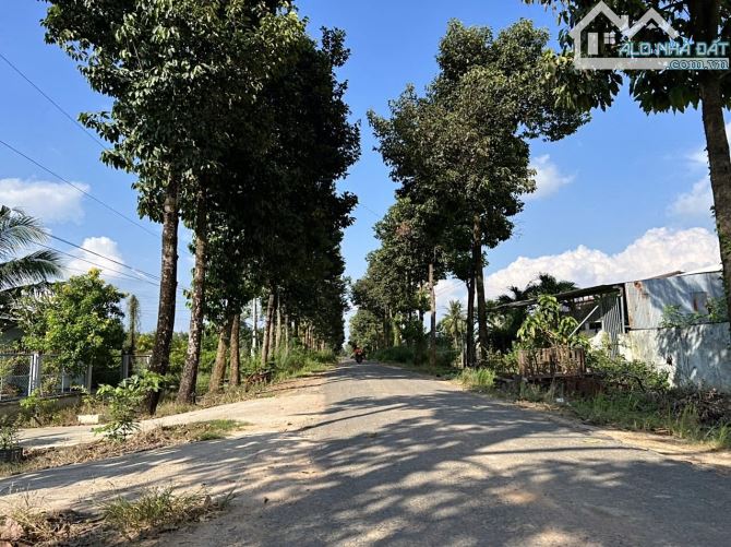 ✨ 2 Lô Thổ Cư ngay trung tâm Thị trấn Châu Thành sầm uất, phía sau khu thương mại Cao Xá - 7