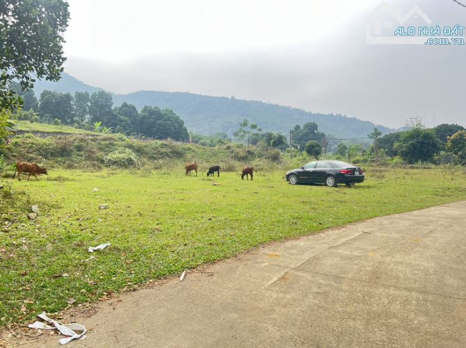 BÁN GẤP 2736M HỢP HÒA ,LƯƠNG SƠN ,HÒA BÌNH ,ĐẤT ĐẸP PHẲNG NHƯ SÂN BÓNG - 10