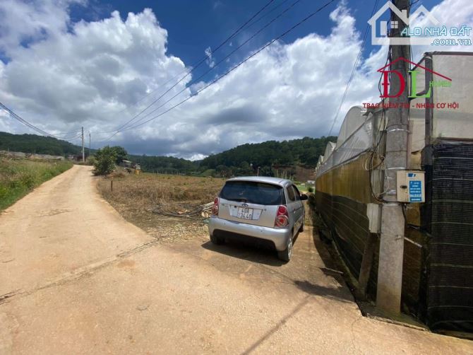 🏞⛺️🍀 7.304m2 ĐẤT MIMOSA PHƯỜNG 10 - VIEW RỪNG THÔNG NGUYÊN SINH THOÁNG MÁT (CÓ BÁN LẺ) - 1