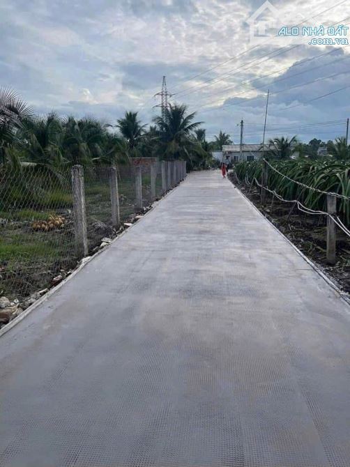 ✅ Bán lô đất vườn hẻm Lê Văn Cảng, xã An Vĩnh Ngãi, tp Tân An _ Diện tích: 12 x 42 (500m2) - 1