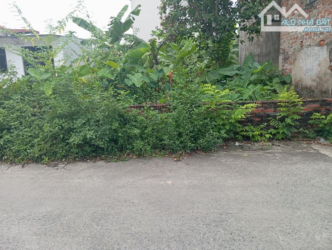 Bán Đất Bắc Hồng Giá Rẻ Giật Mình - 1
