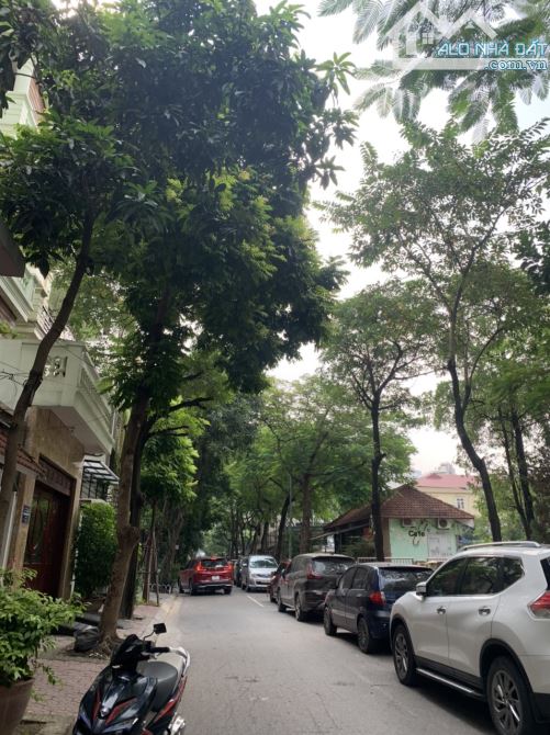 Lô Góc khu Phố Nguyên Hồng- Đống Đa 8 tầng Thang máy, gara ô tô - 2