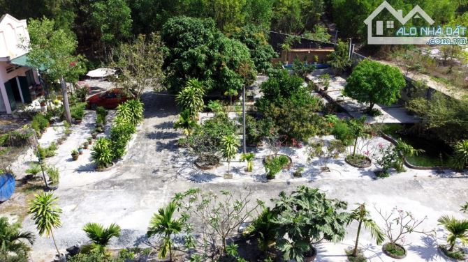 Đất 2.883m2  có nhà cấp 4 gần 100m² , vườn trái cây, vườn dừa, cách Lý Nam Đế 750m. - 3