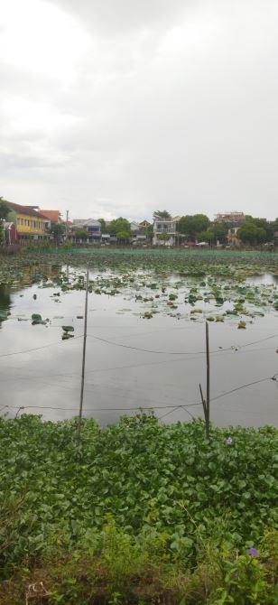 Bán  Nhà đầu đường Nguyễn Trãi, Phường Thuận Hòa, thành phố Huế, tỉnh Thừa Thiên Huế. - 13